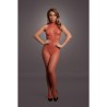 CATSUIT FISHNET AND LACE LE DÉSIR