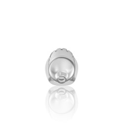 JAULA MODEL 29 TPE CHASTITY TRANSPARENTE MANCAGE