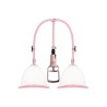 BOMBA DESENVOLVEDORA BREAST PUMP SET LARGE PUMPED