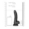 DILDO REALISTA COM TESTÍCULOS CURVED 7 /18CM PRETO REALROCK