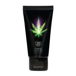 LUBRIFICANTE ANESTESIANTE CBD 2 FL OZ 50 ML PHARMQUESTS