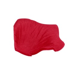 PÉTALAS DE ROSA VERMELHAS LE DÉSIR