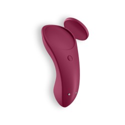 PANTY VIBRATOR COM APP SEXY SECRET SATISFYER