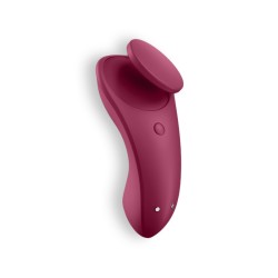 PANTY VIBRATOR COM APP SEXY SECRET SATISFYER